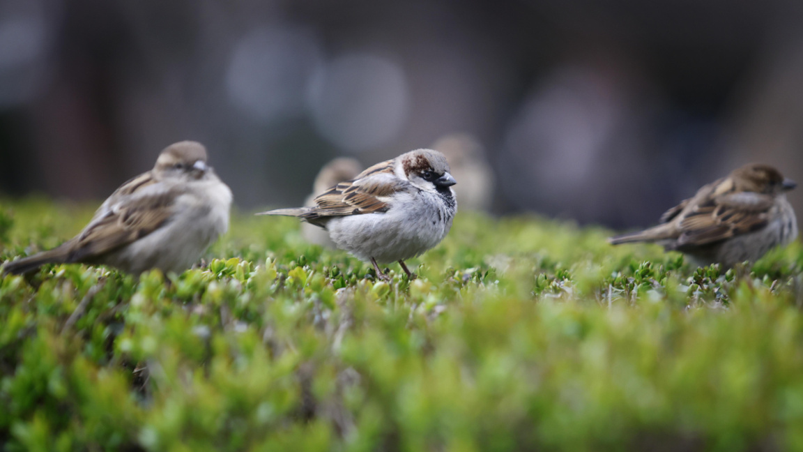  Previsión del tiempo para el 22 de abril 