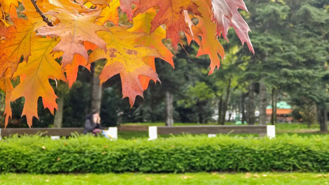 Временска прогноза за суботу, 2. новембар