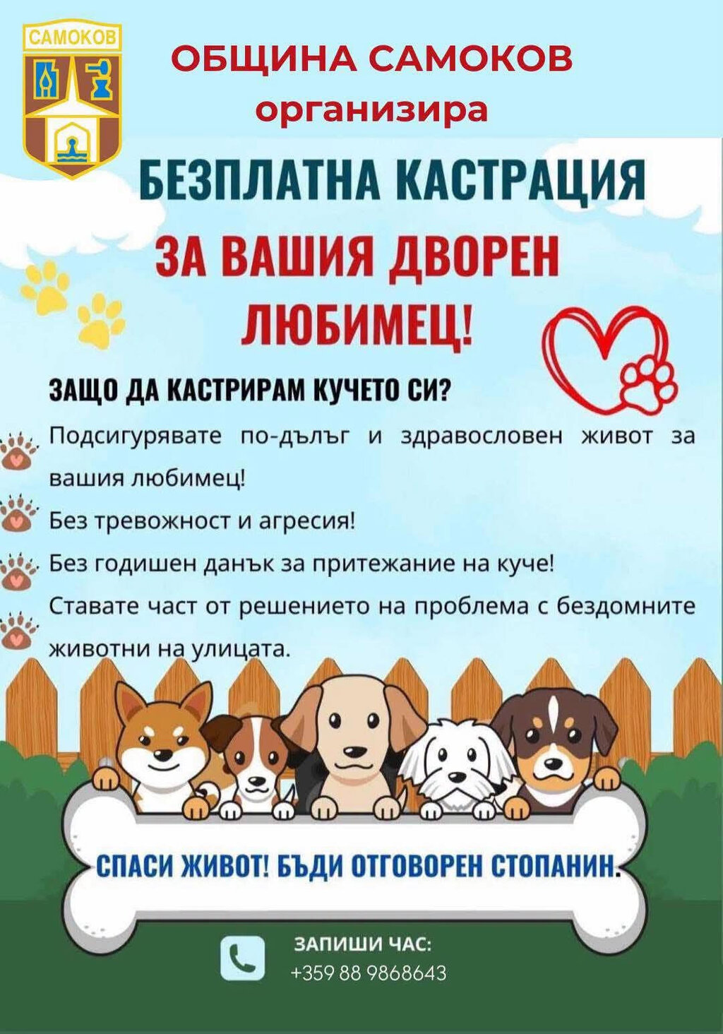 В 45-дневна кампания Самоков предоставя безплатна кастрация на дворни кучета