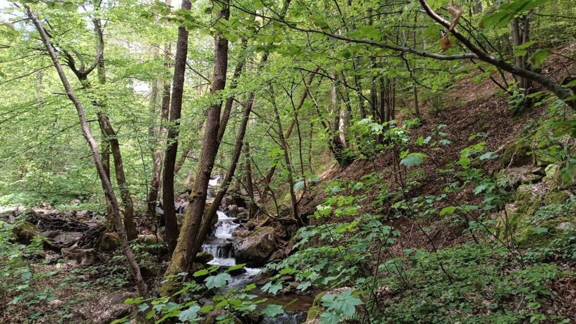 Приказна разходка край София - от Кладница до "Живата вода"