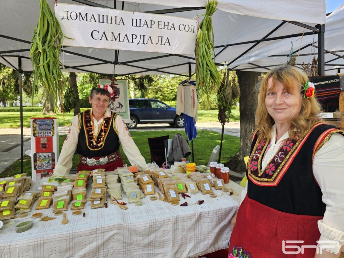 Празник на самардалата в Нова Загора