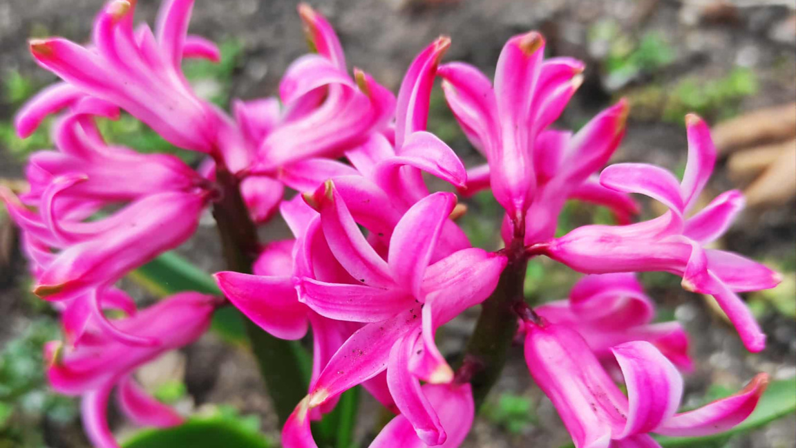 Денят започва с облаци, слънце в следобедните часове