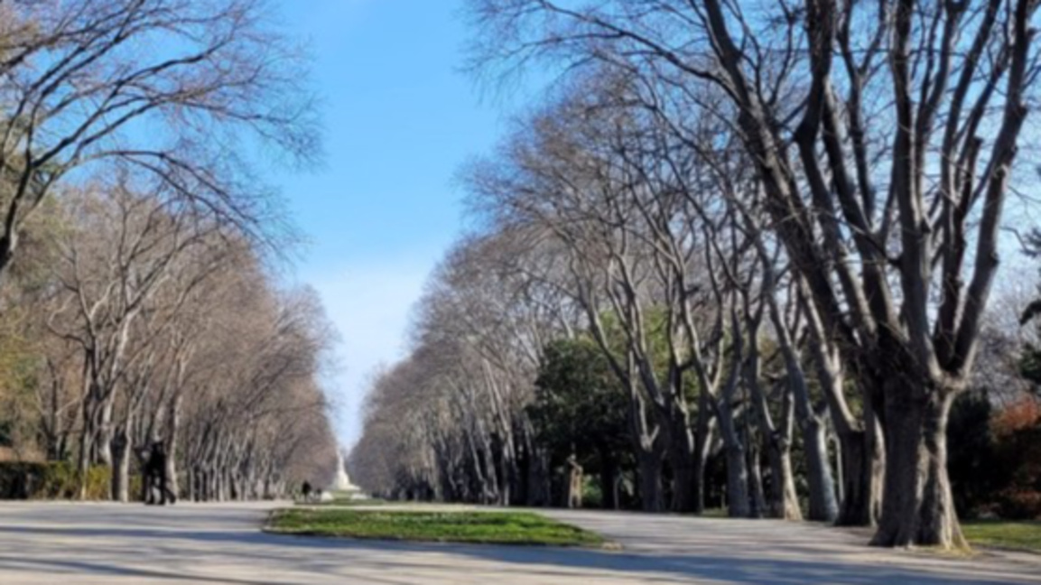 Морска градина, Варна