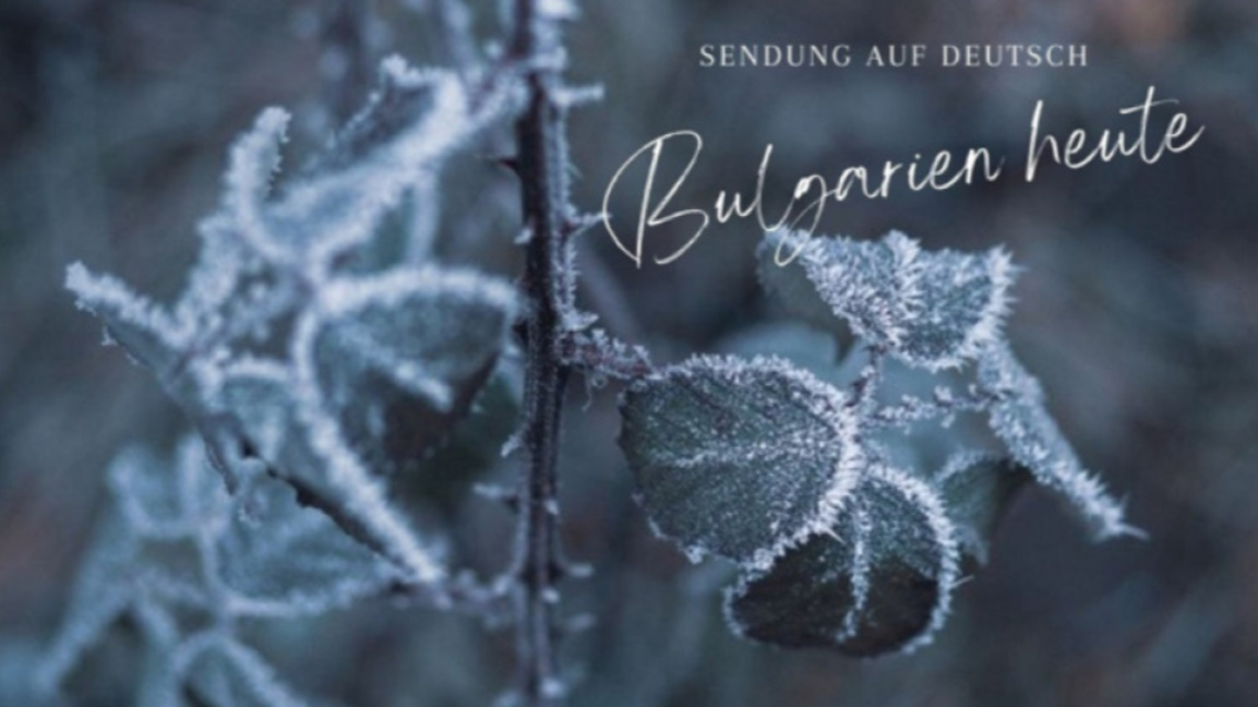 Bulgarien heute –23. Dezember 2025