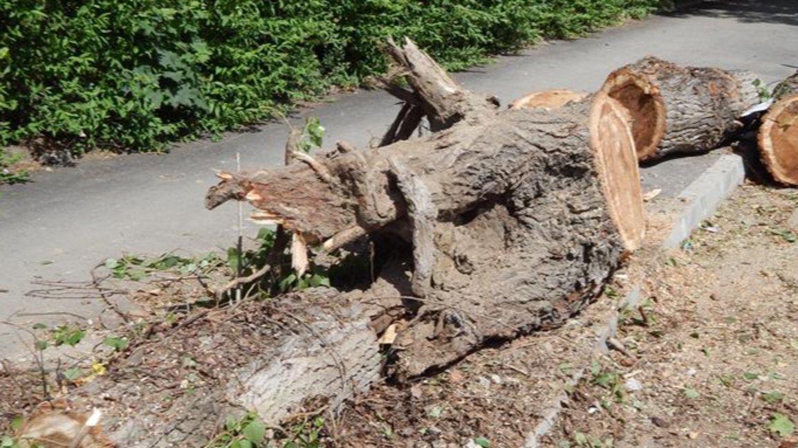 Снимката е илюстративна