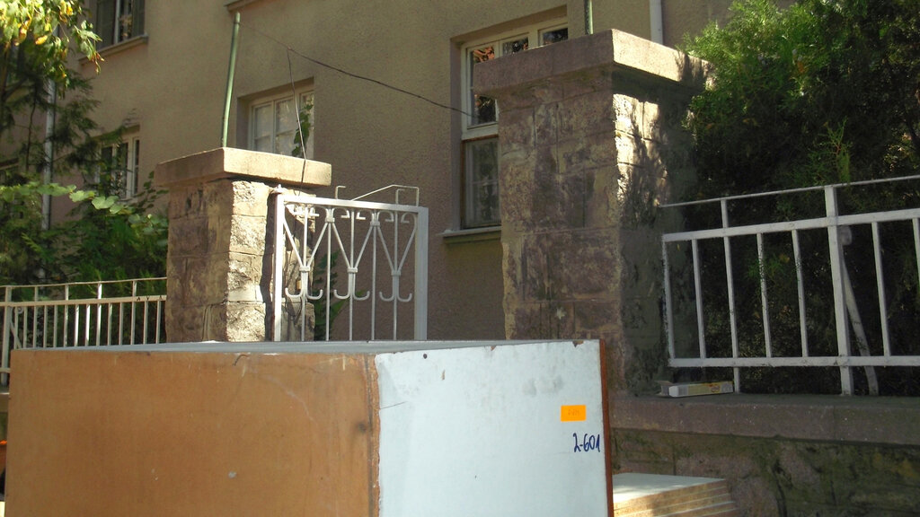 Проф. Нели Петрова: Вече не трябваше да има СПИ-та