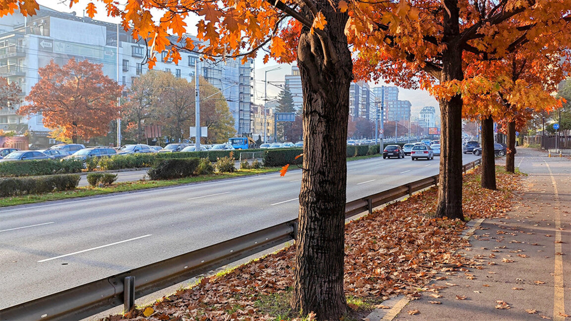 Прогноз погоды на 11 ноября