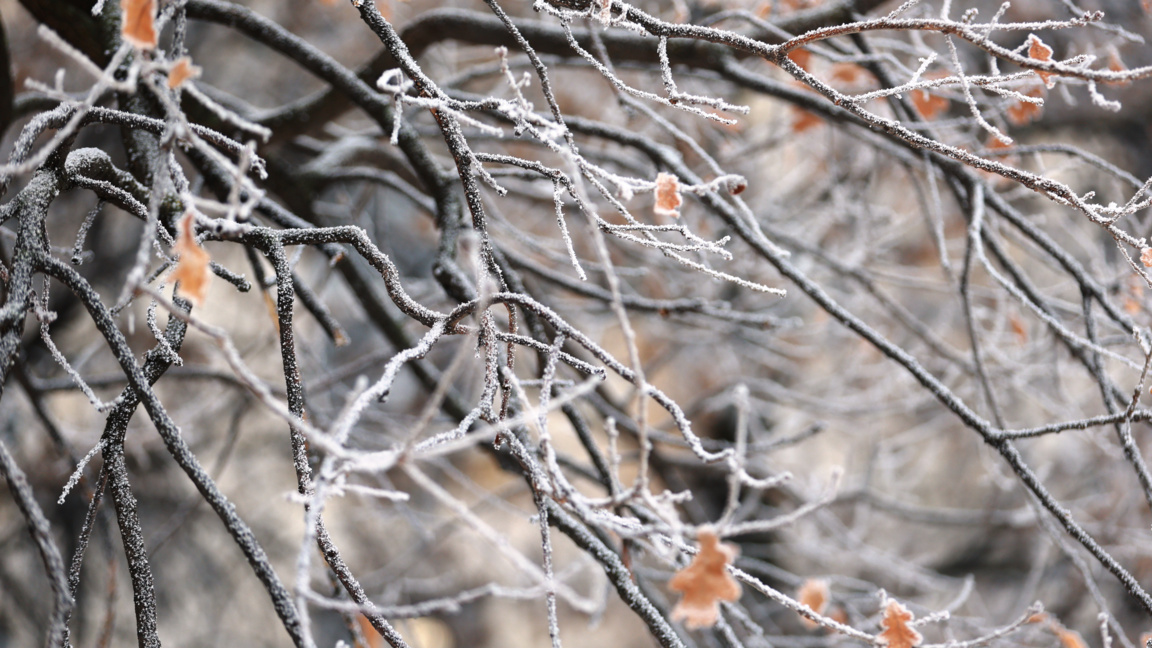 Студ в цялата страна, t° до -12°