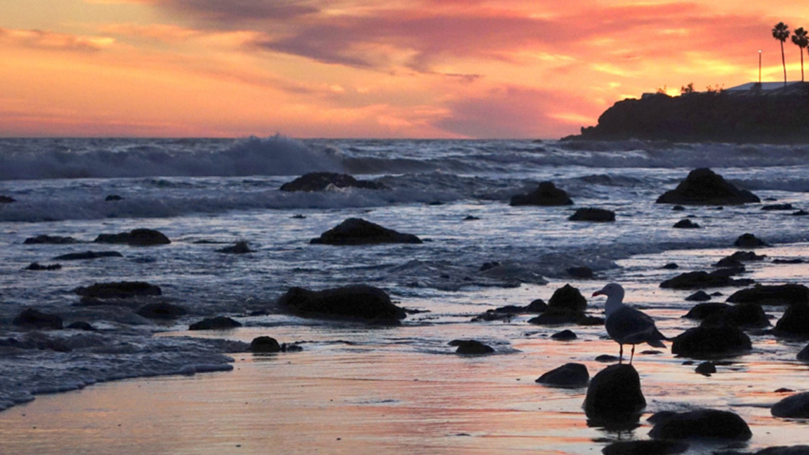 Крайбрежие на Тихия океан