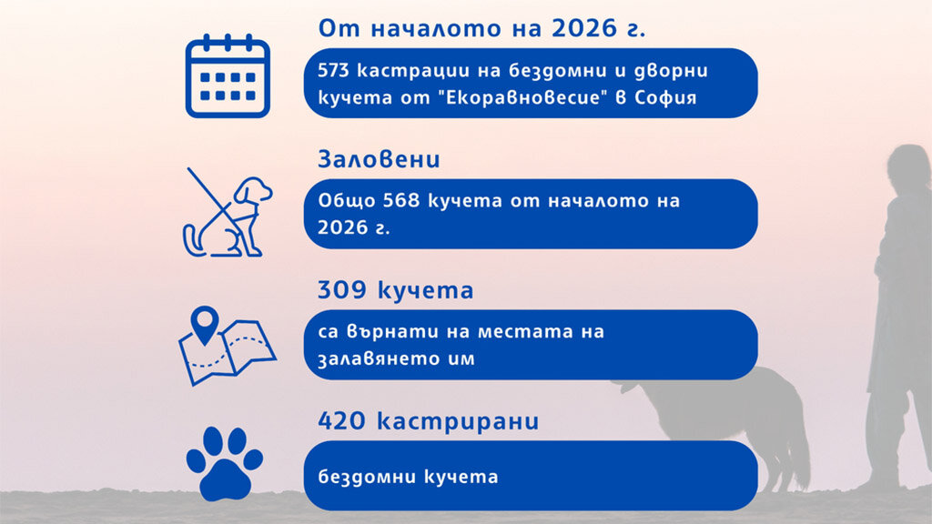 Глутницата кучета, видяна в 2 столични района, още не е заловена