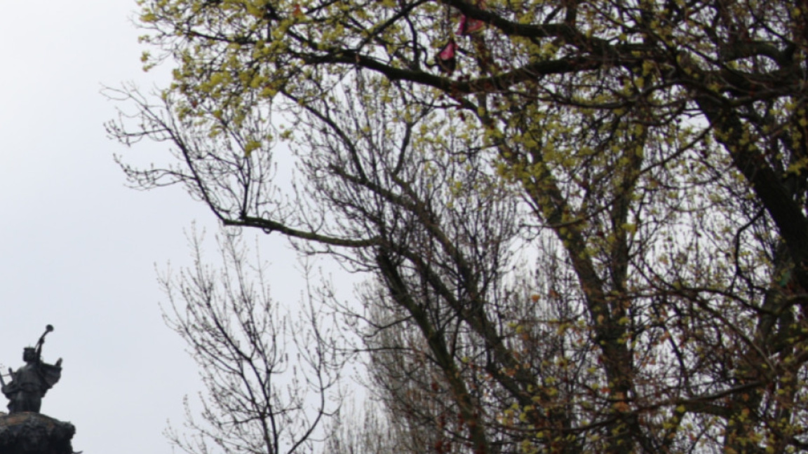 Облачно със слаби превалявания