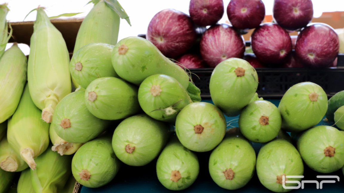 снимката е илюстративна