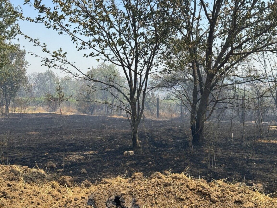 Овладян е пожарът в района на русенското село Николово