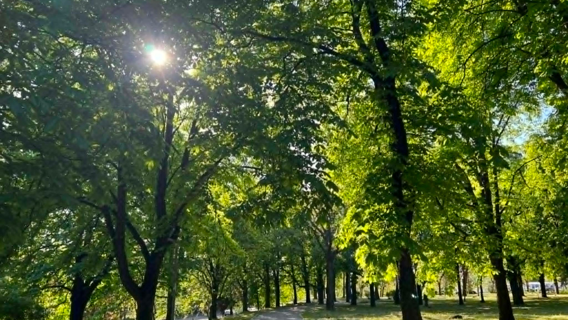 Облаци и краткотрайни валежи 