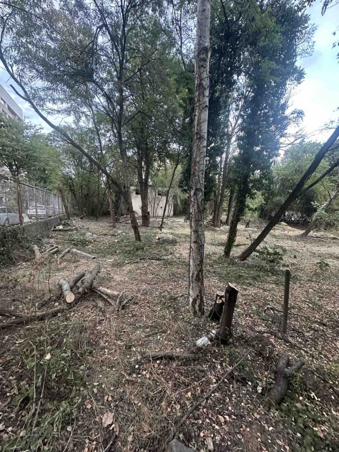 Снимка от терена.