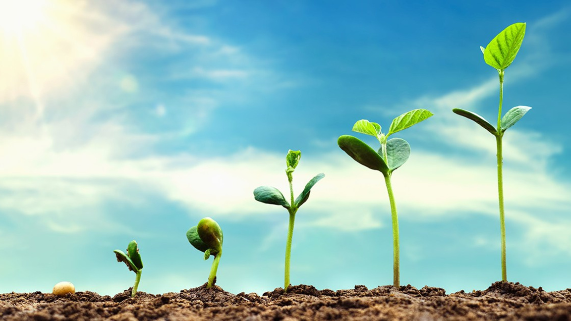 Образованието по предприемачество и първи випуск "Дигитален стартов бизнес"