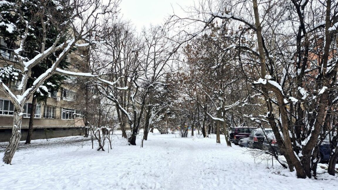 Wetteraussichten für Freitag, den 17. Januar