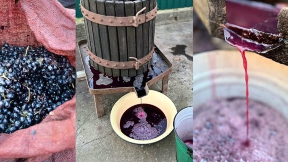 Български фирми на изложението "Вкусът на Европа" в Лондон