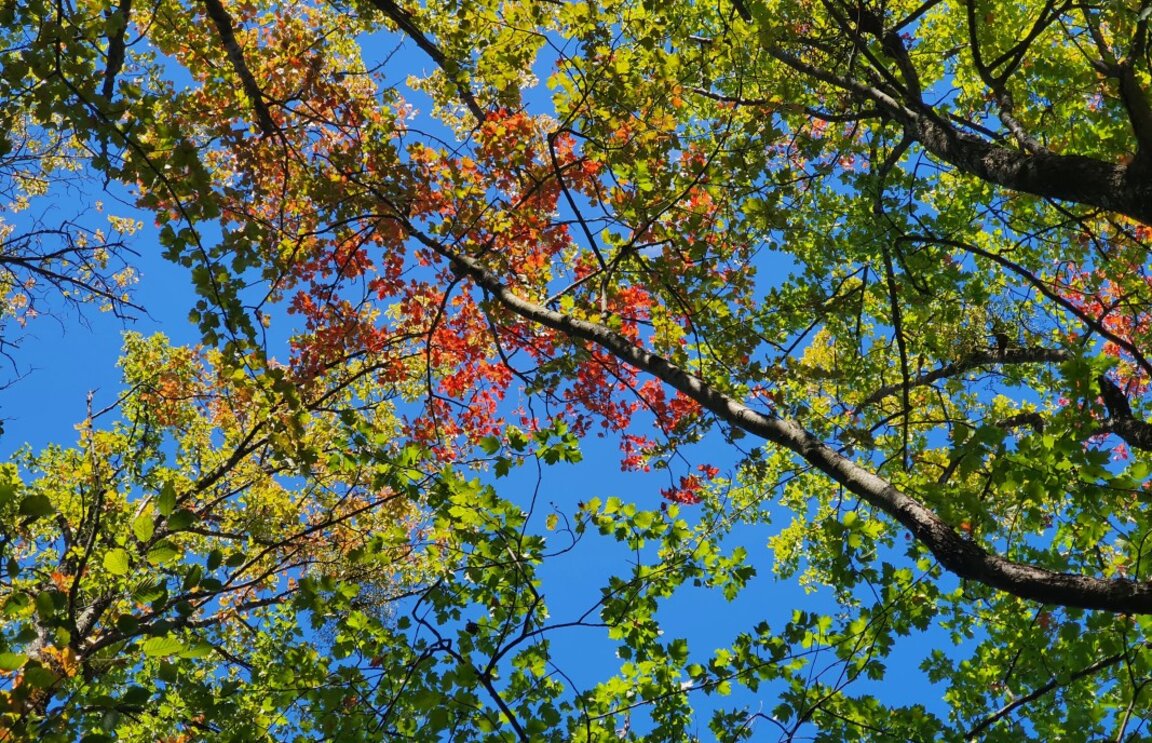 First day of Autumn: clear skies and 27-32°C