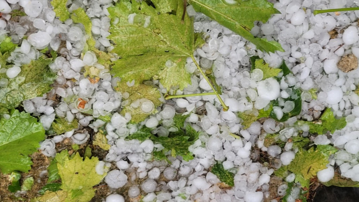 снимката е илюстративна