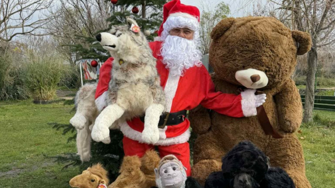 Tiere im Zoo von Burgas erhalten Geschenke vom Weihnachtsmann