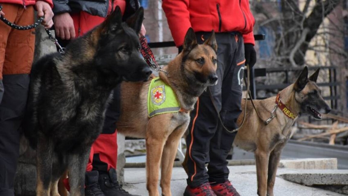Treffen mit Bergrettern und ihren Hunden am Internationalen Tag des Ehrenamtes
