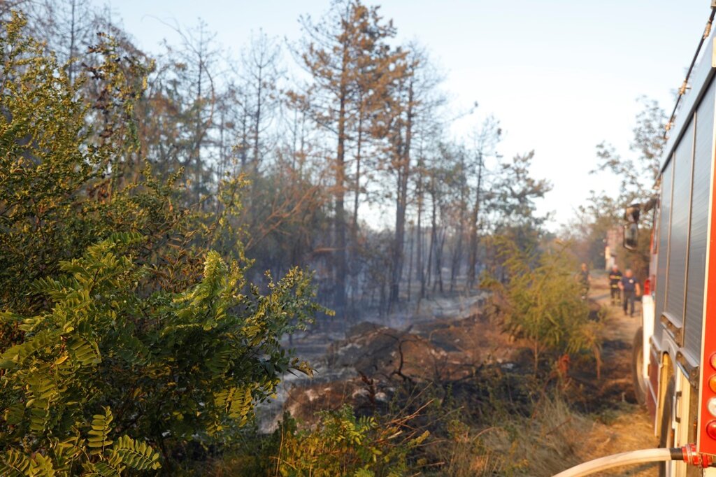 Пожар обхвана около 50 дка гора в района на кърджалийското село Дъждовница