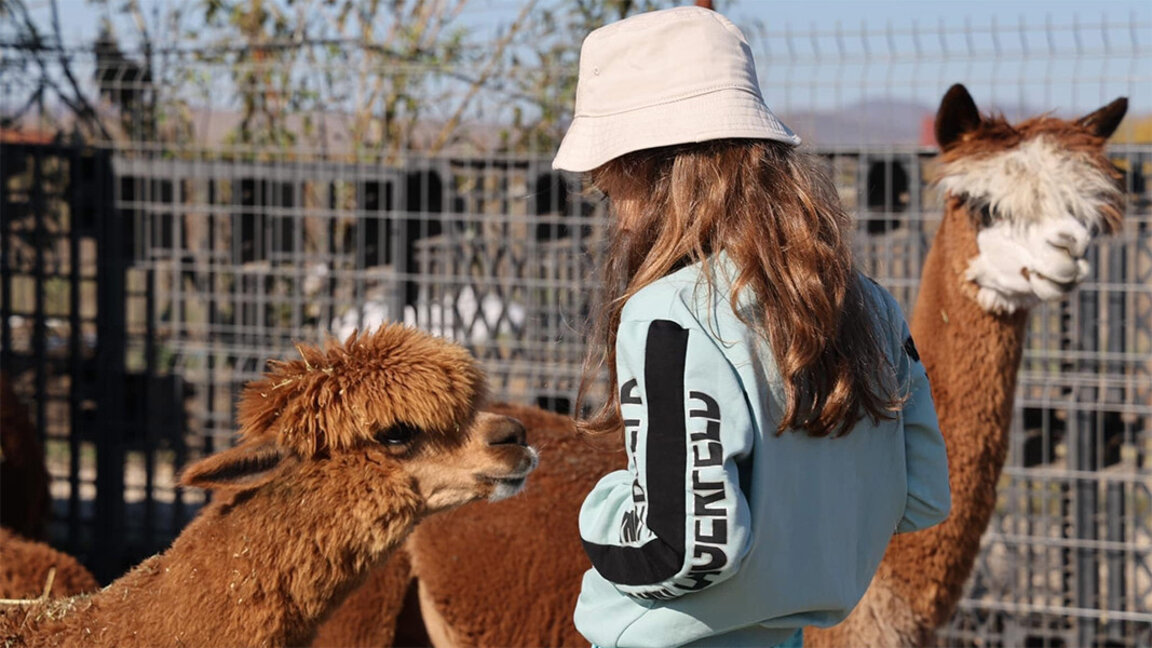 Im Zoo von Burgas können Mensch und Tier ohne Schranken miteinander kommunizieren