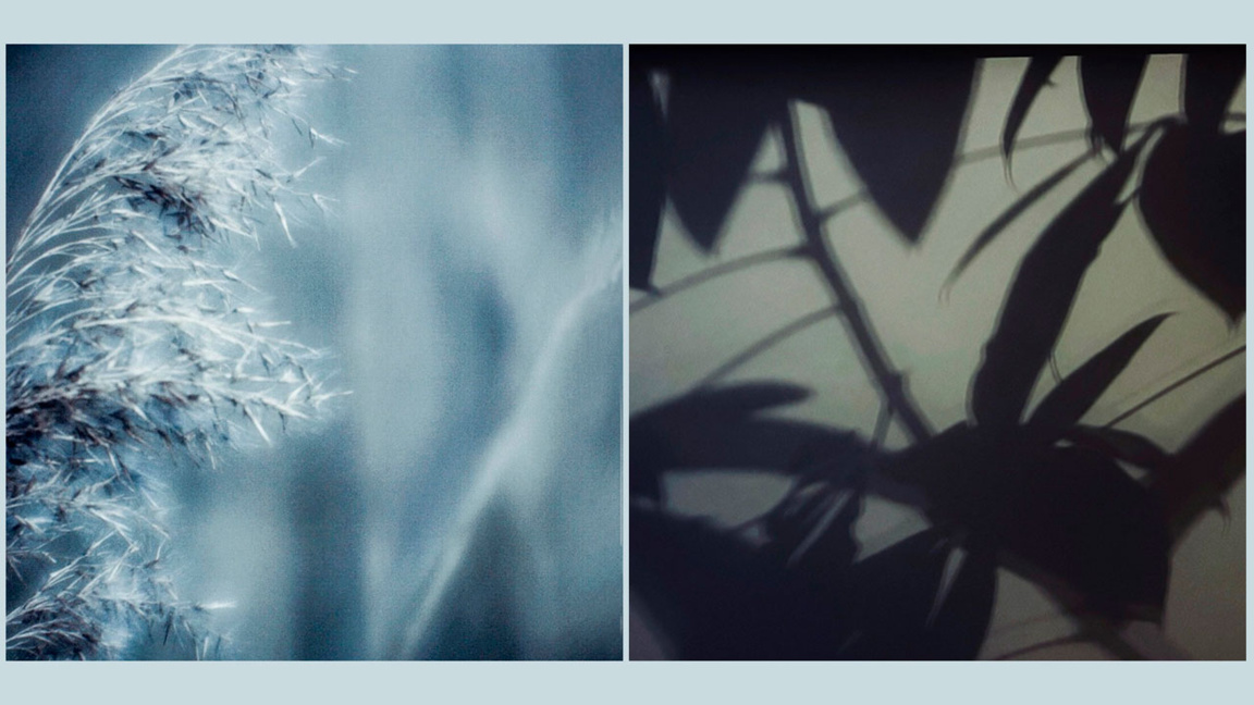 Фотографска изложба "Тишина" на Доли Манева