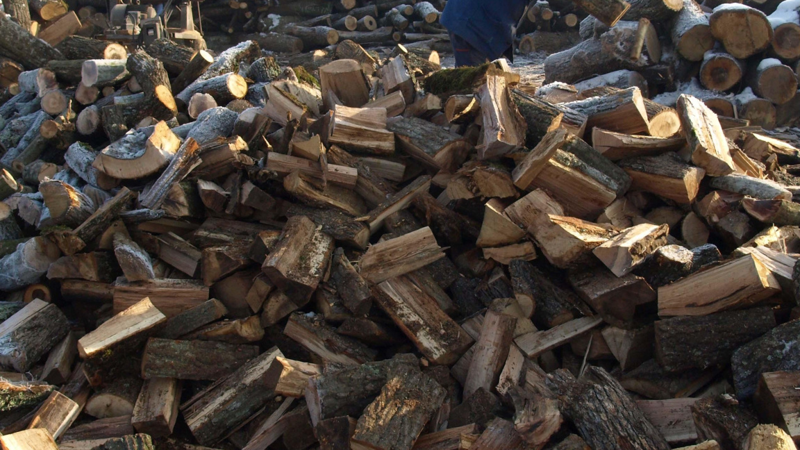 дърва