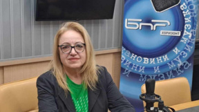 Защо Исландия каза "Не" на преговорите за влизане в Европейския съюз?