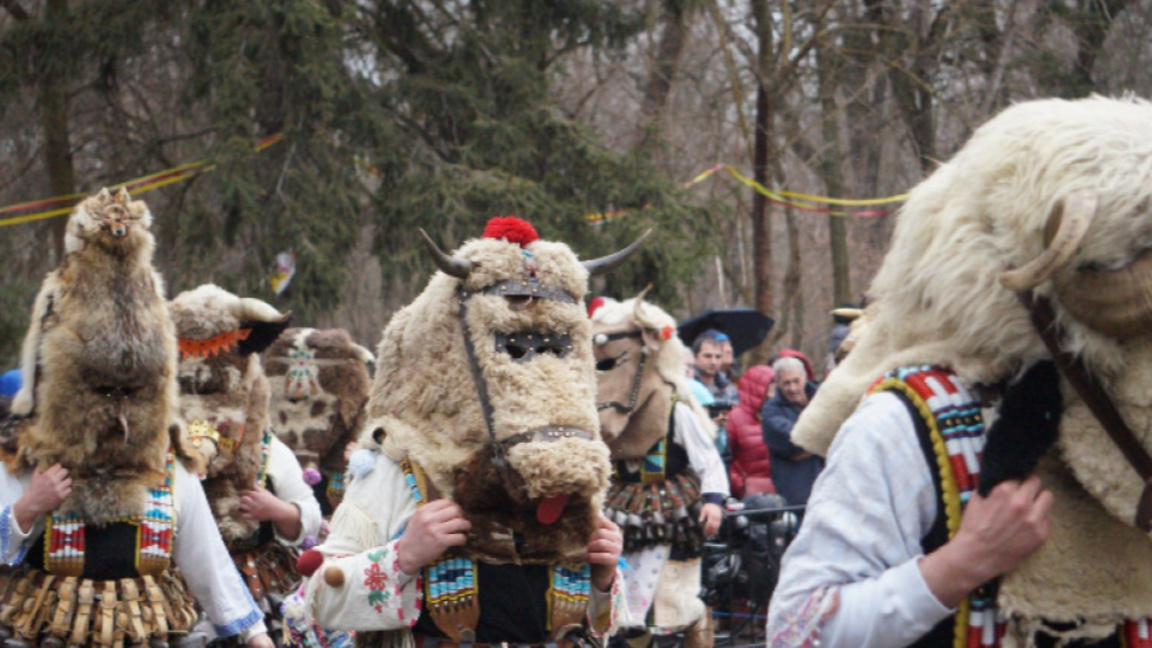 Започна подготовката за кукерските игри ...