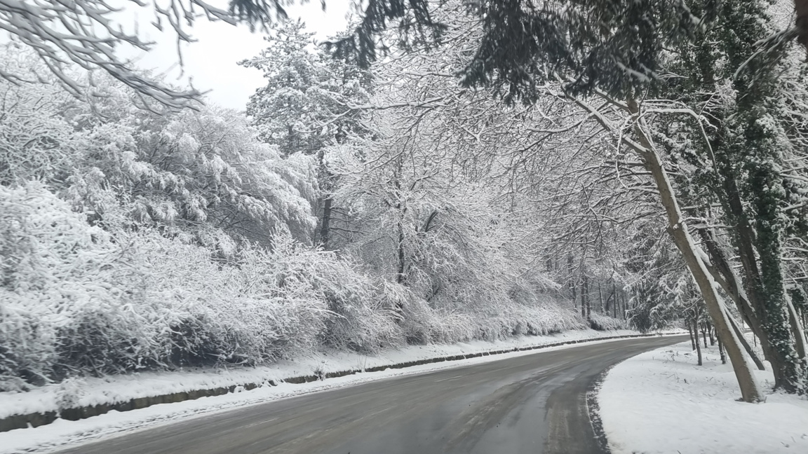 Зимата се завърна: 14 населени места в Плевенско са без ток 