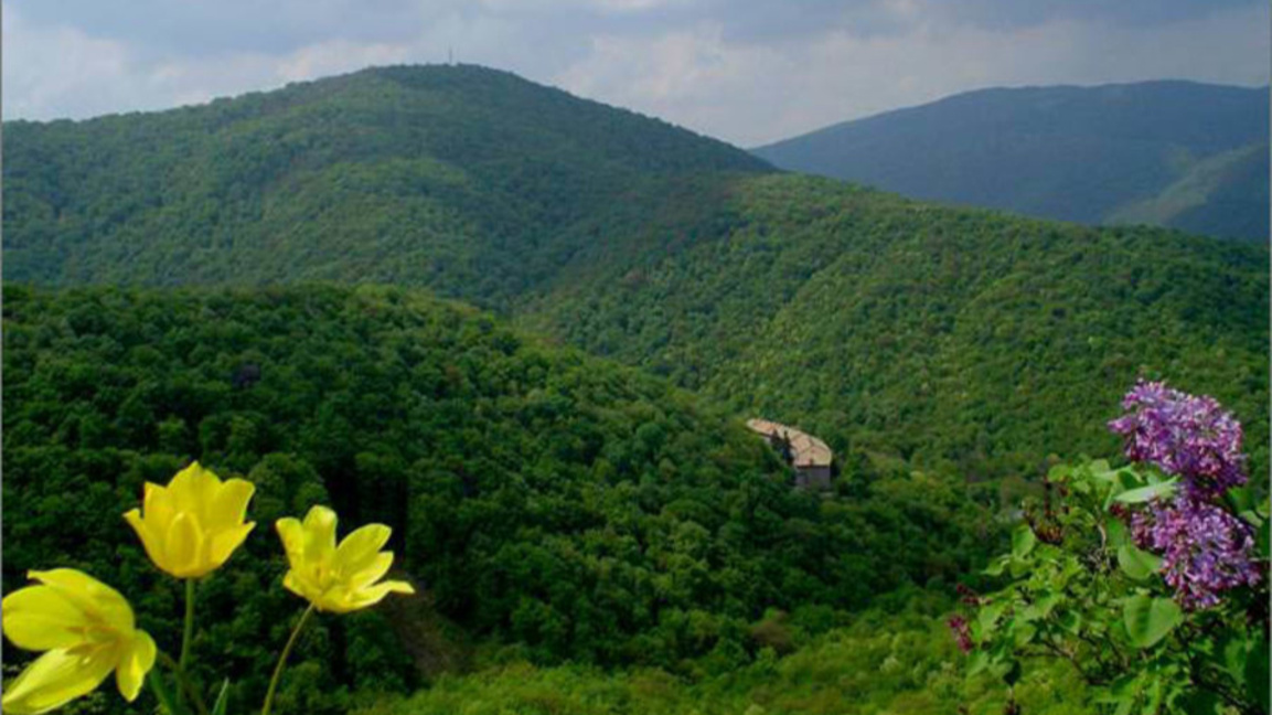 Обновяват "Патлейна" и "Дервиша"