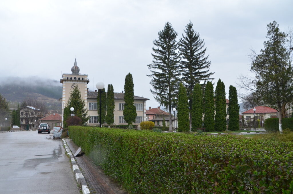 Говежда се готви за празник
