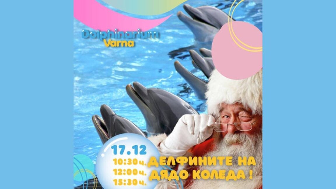 Delfinariul din Varna pregătește spectacole de Crăciun pentru copii