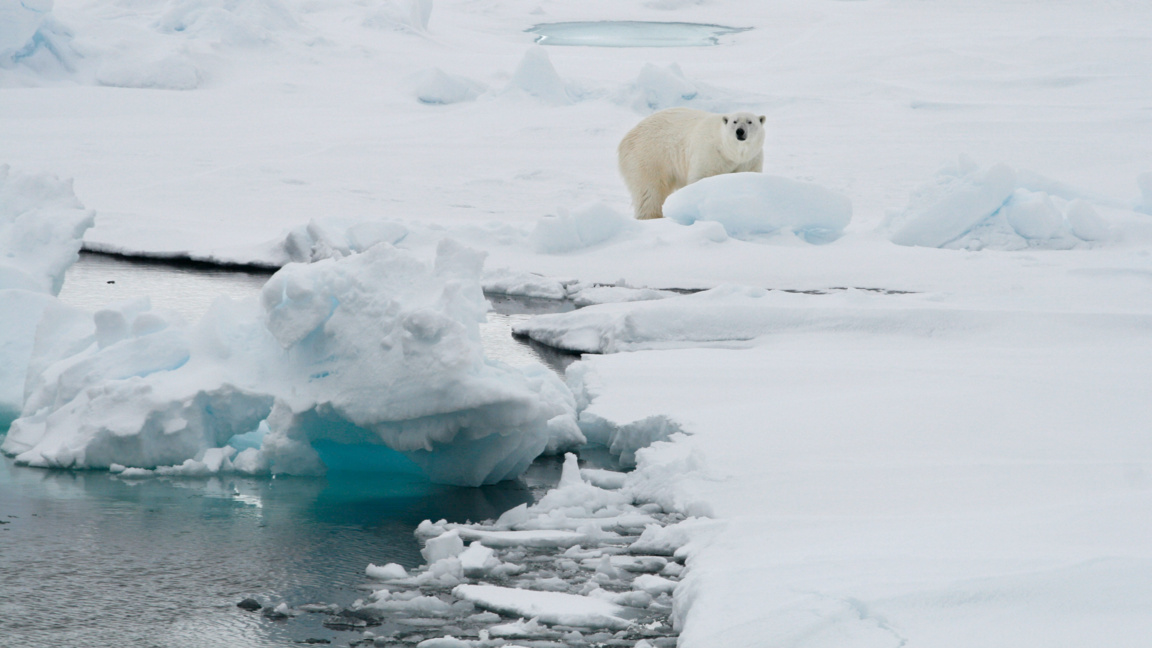 Арктическият морски лед през зимата е на...