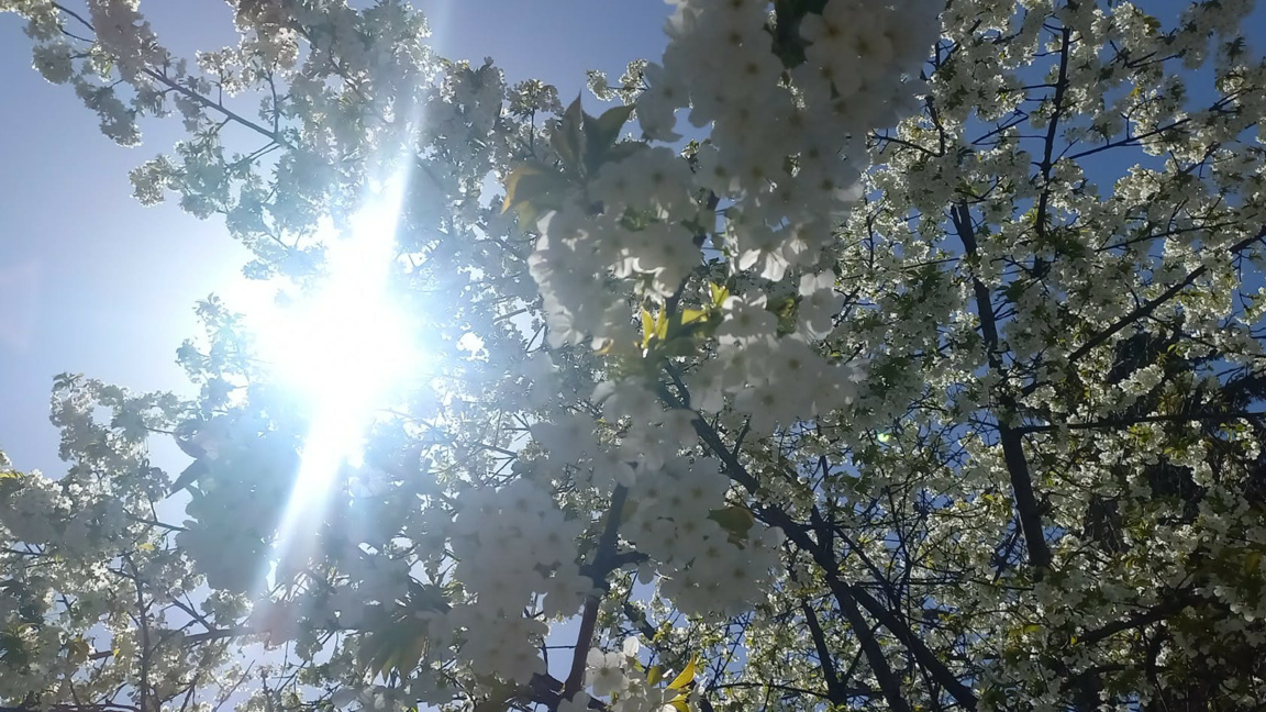 Петъчно утро с Радио Шумен