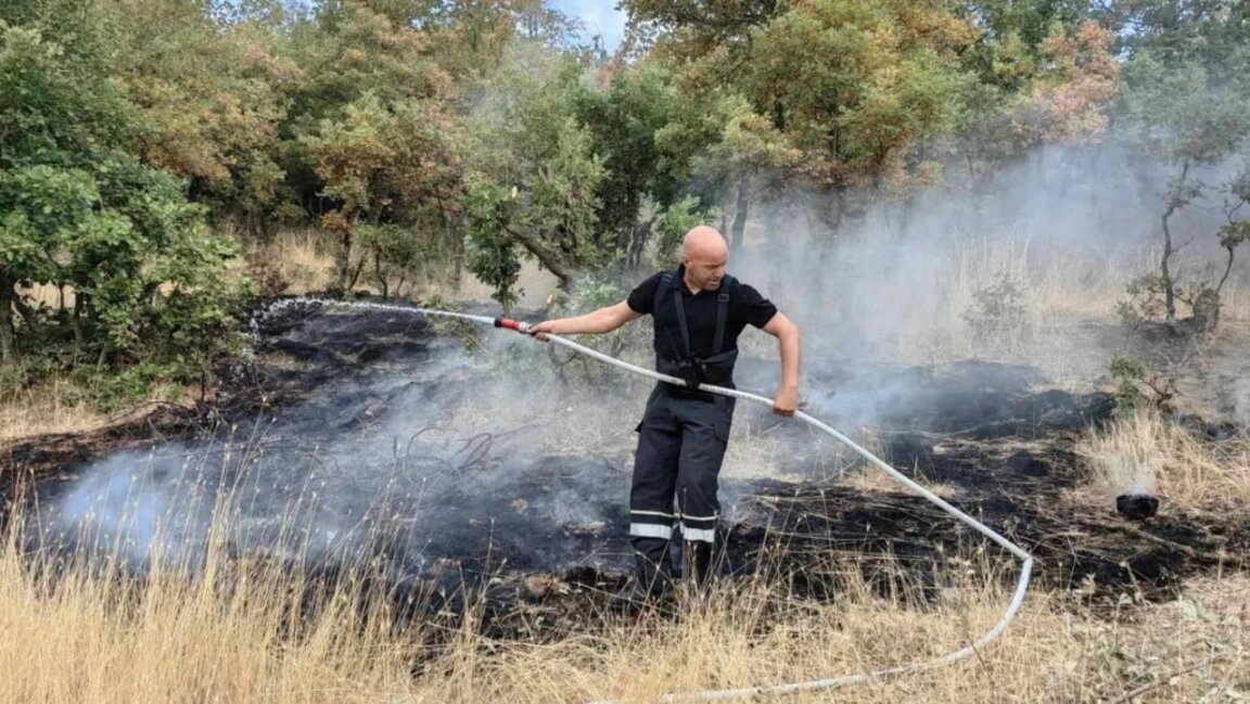 Пожарът в района на Тополовград бушува вече четвърти ден