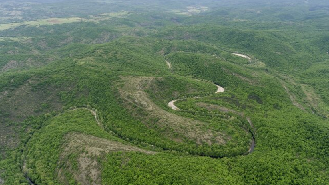 меандрите на Бяла река
