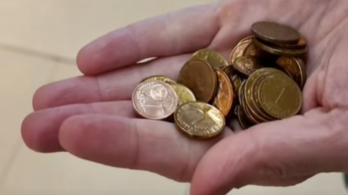 Стотинка по стотинка...11 000 евро за кастрация на бездомни животни 