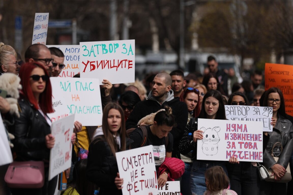 The protest in Sofia featured slogans such as "There is no excuse for abuse!", "The murderers belong in prison!", and "Speak up for those who cannot speak for themselves."