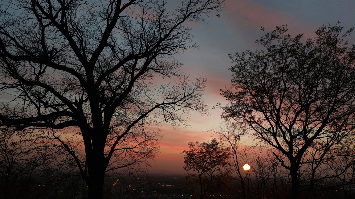 ''Точно днес'' за пазара на труда и политиката 