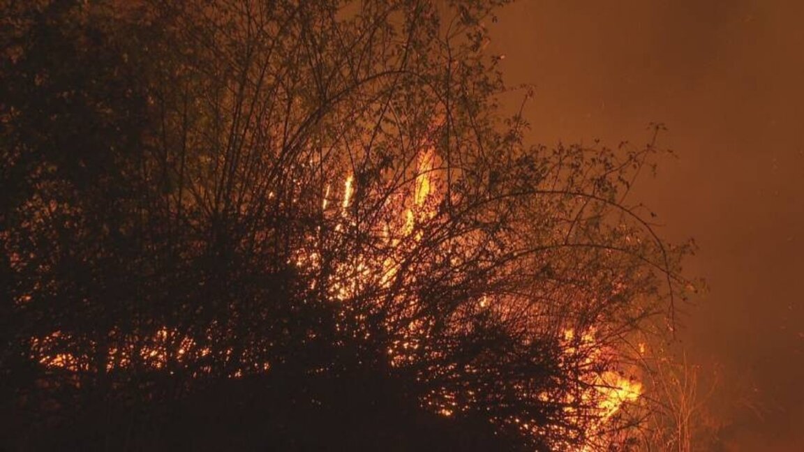 Κατασβέστηκε η δασική πυρκαγιά στο Ραντομίρ