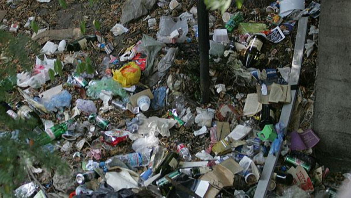  Tiramos 41 kg de comida al año y generamos 94 kg de basura