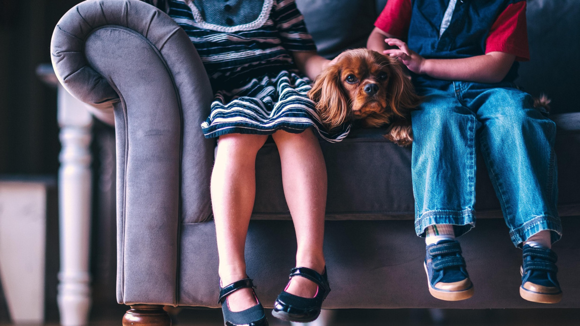 деца с куче