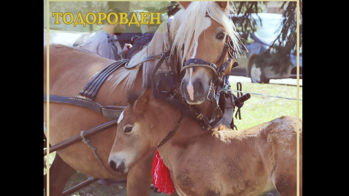 Банско посреща Тодоровден с празнично настроение и живи традиции