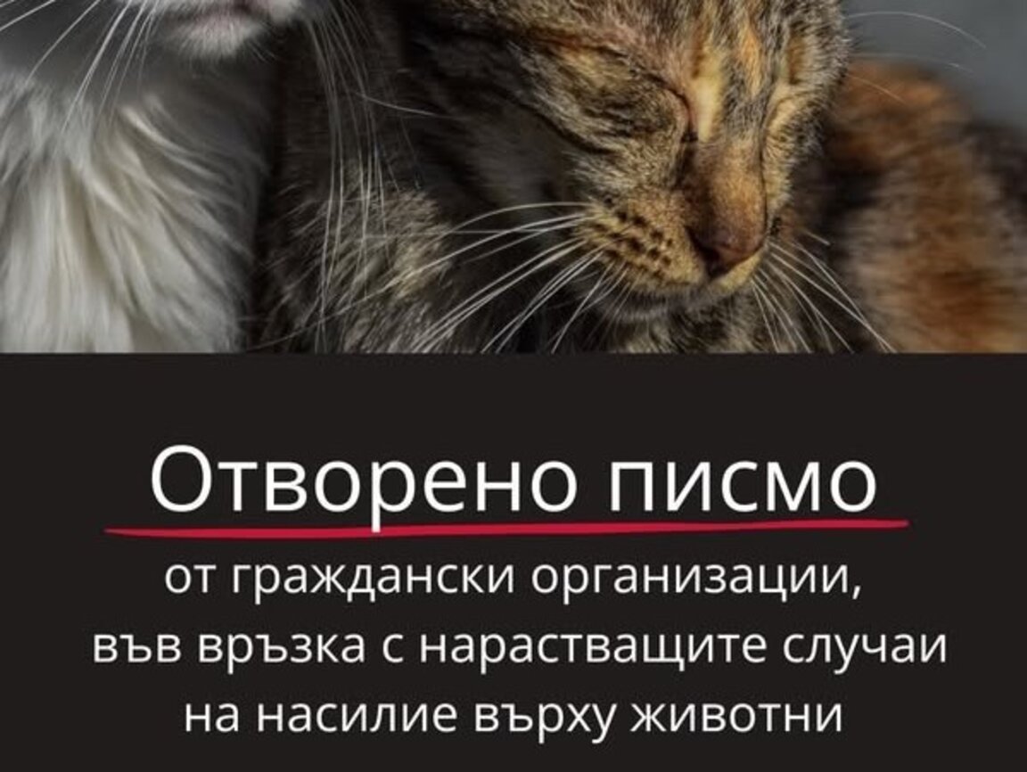 Граждански организации с отворено писмо за адекватни и ефективни мерки за защита на животните