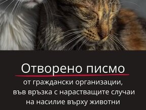 Граждански организации с отворено писмо за адекватни и ефективни мерки за защита на животните