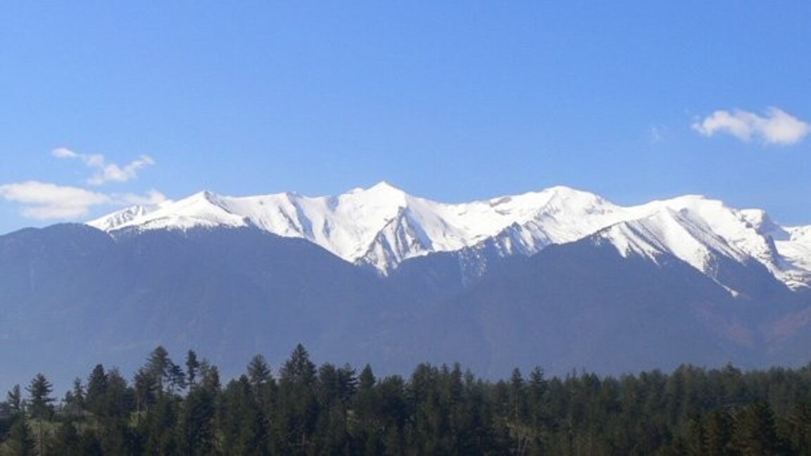 „Ефир за приятели“ с Петрана Кимчева